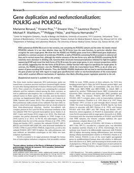 Gene Duplication and Neofunctionalization: POLR3G and POLR3GL