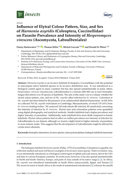 Influence of Elytral Colour Pattern, Size, and Sex of Harmonia Axyridis