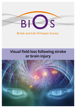 Visual Field Loss Following Stroke Or Brain Injury