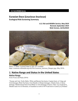 Eurasian Dace (Leuciscus Leuciscus) Ecological Risk Screening Summary