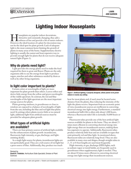 Lighting Indoor Houseplants