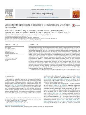 Consolidated Bioprocessing of Cellulose to Isobutanol Using Clostridium Thermocellum