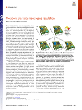 Metabolic Plasticity Meets Gene Regulation COMMENTARY B