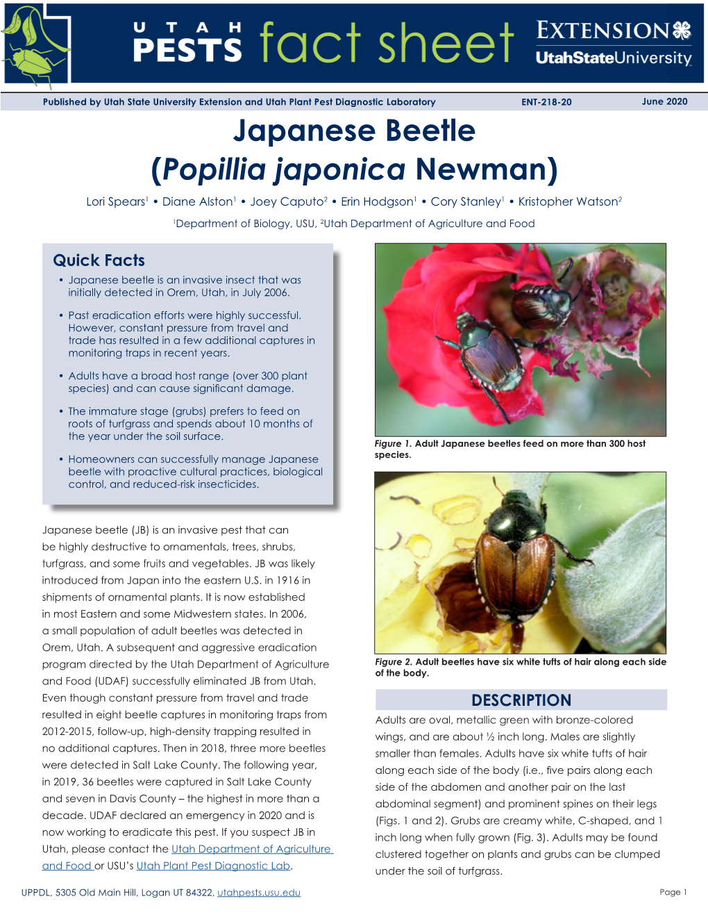 Japanese Beetle (Popillia Japonica Newman) Lori Spears1 • Diane Alston1 • Joey Caputo2 • Erin Hodgson1 • Cory Stanley1 • Kristopher Watson2