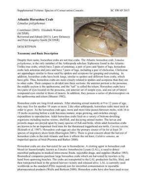 Horseshoe Crab Limulus Polyphemus