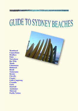 Guide to Sydney Beaches Is an Invitation to Explore the Greater Sydney Coastline Through Poetry