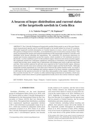 A Beacon of Hope: Distribution and Current Status of the Largetooth Sawfish in Costa Rica