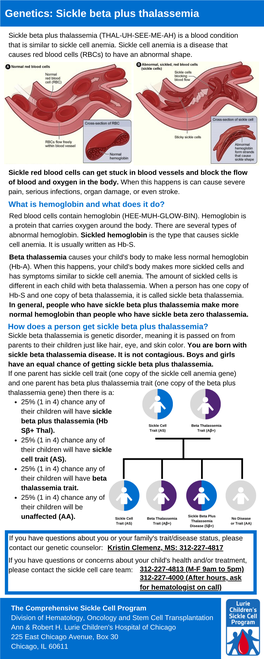 Genetics: Sickle Beta Plus Thalassemia