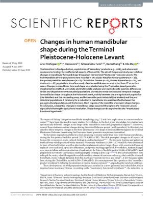 Changes in Human Mandibular Shape During the Terminal Pleistocene
