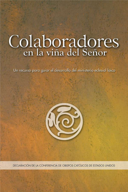 Colaboradores En La Viña Del Señor