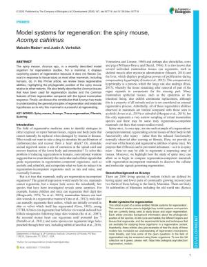 The Spiny Mouse, Acomys Cahirinus Malcolm Maden* and Justin A