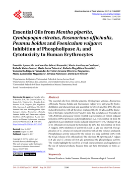 Essential Oils from Mentha Piperita, Cymbopogon Citratus, Rosmarinus