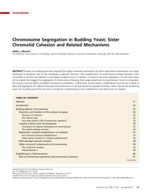 Chromosome Segregation in Budding Yeast: Sister Chromatid Cohesion and Related Mechanisms