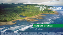 Región Brunca, Perfil Regional. Setiembre 2020