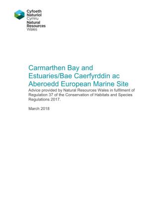 Carmarthen Bay and Estuaries/Bae