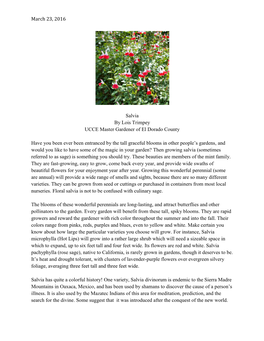 March 23, 2016 Salvia by Lois Trimpey UCCE Master Gardener Of