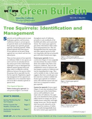 Tree Squirrels: Identification and Management