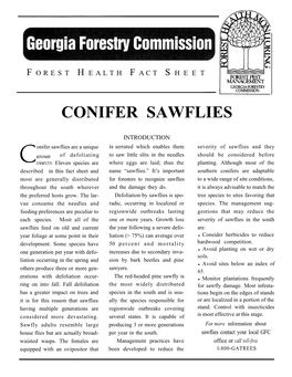 Conifer Sawflies