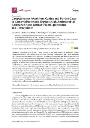 Campylobacter Jejuni from Canine and Bovine Cases of Campylobacteriosis Express High Antimicrobial Resistance Rates Against (Fluoro)Quinolones and Tetracyclines