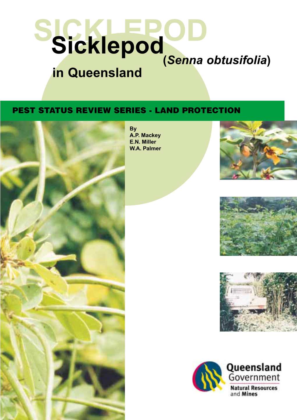 Sicklepod in Queensland Is Shown in Fig