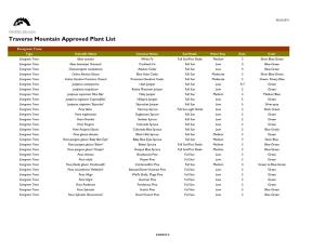 Traverse Mountain Approved Plant List