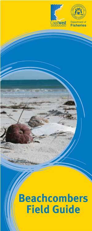 Beachcombers Field Guide