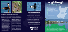 Facts and Figures of Lough Neagh