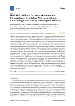 The PARP Inhibitor Olaparib Modulates the Transcriptional Regulatory Networks of Long Non-Coding Rnas During Vasculogenic Mimicry