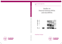 Studies on Natural Antisense Rnas and Micrornas Studies on Natural Antisense Rnas and Micrornas
