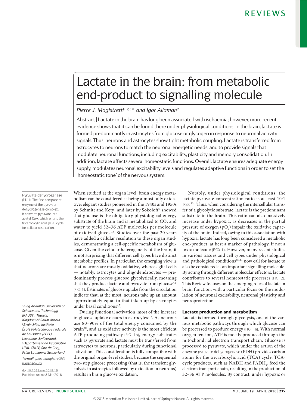 Lactate in the Brain: from Metabolic End-Product to Signalling Molecule