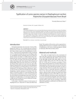 Typification of Some Species Names in Elaphoglossum Section Polytrichia (Dryopteridaceae) from Brazil