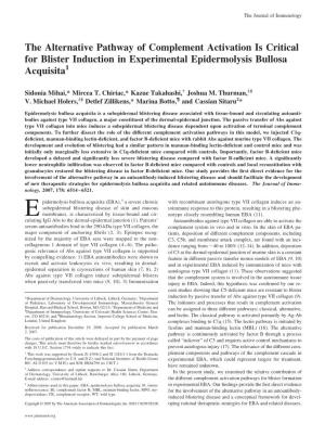 Acquisita Experimental Epidermolysis Bullosa Activation Is Critical for Blister Induction in the Alternative Pathway of Compleme