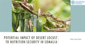 Potential Impact of Desert Locust to Nutrition Security in SOMALIA