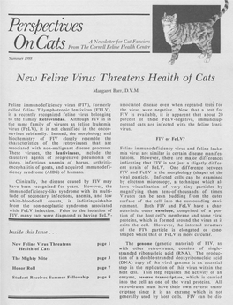New Feline Virus Threatens Health of Cats