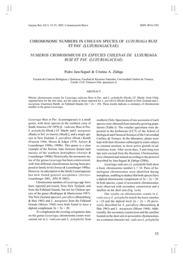 Chromosome Numbers in Chilean Species of Luzuriaga Ruiz Et Pav. (Luzuriagaceae)