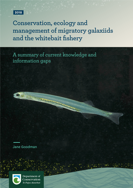 Conservation, Ecology and Management of Migratory Galaxiids and the Whitebait Fishery: a Summary of Current Knoledge and Informa