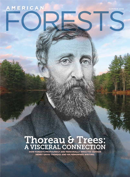 Thoreau & Trees