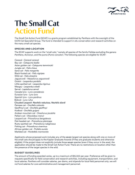 The Small Cat Action Fund the Small Cat Action Fund (SCAF) Is a Grants Program Established by Panthera with the Oversight of the IUCN Cat Specialist Group