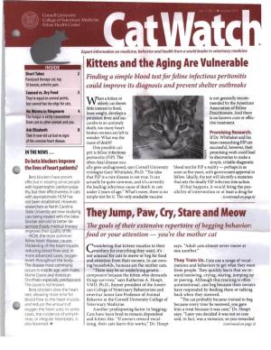 Kittens and the Aging Are Vulnerable They Jump, Paw, Cry, Stare And