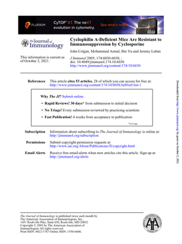 Immunosuppression by Cyclosporine Cyclophilin A-Deficient Mice Are