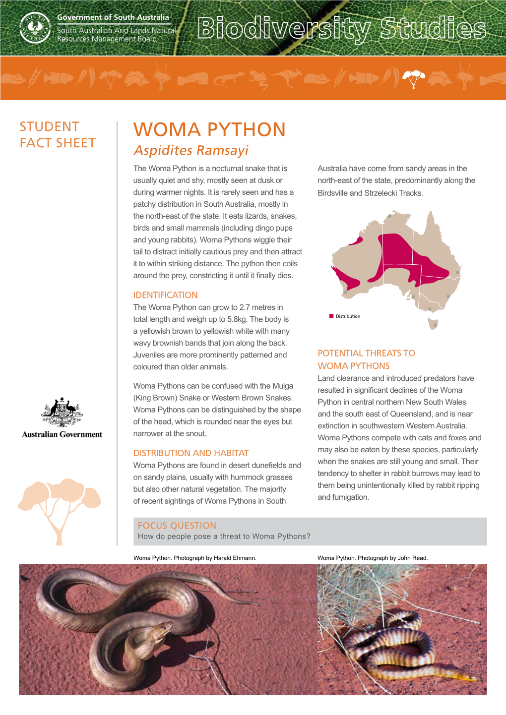 Woma Python and Inland Taipan