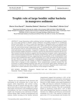 Trophic Role of Large Benthic Sulfur Bacteria in Mangrove Sediment