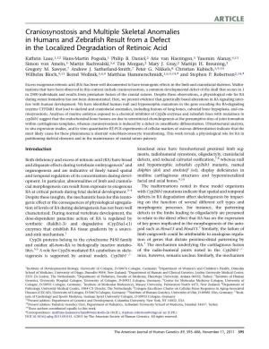 Craniosynostosis and Multiple Skeletal Anomalies in Humans and Zebraﬁsh Result from a Defect in the Localized Degradation of Retinoic Acid