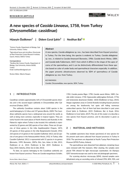 A New Species of Cassida Linnaeus, 1758, from Turkey (Chrysomelidae: Cassidinae)
