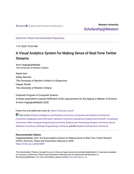 A Visual Analytics System for Making Sense of Real-Time Twitter Streams
