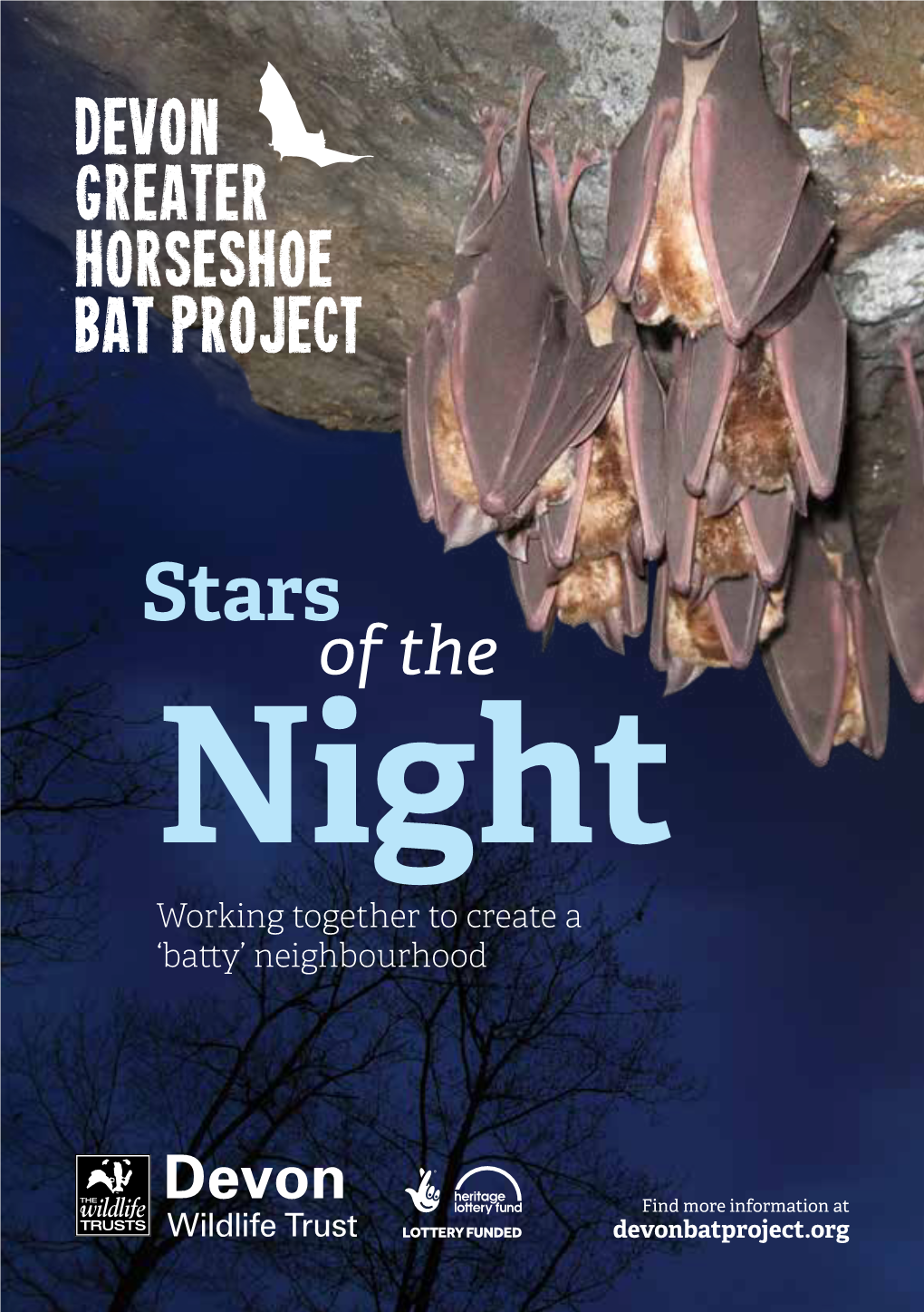 Stars of the Night Sky – Greater Horseshoe Bat Booklet