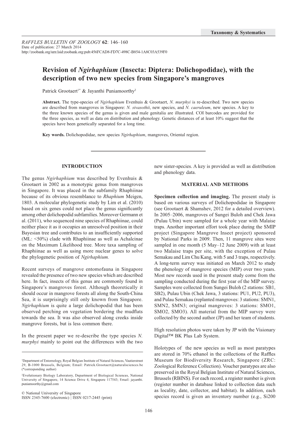 Revision of Ngirhaphium (Insecta: Diptera: Dolichopodidae), with the Description of Two New Species from Singapore’S Mangroves