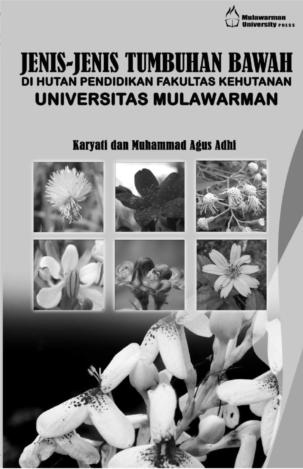 01 Buku Jenis Tumbuhan Bawah Karyati & Adhi.Pdf