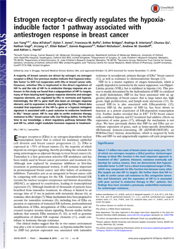 Estrogen Receptor-Α Directly Regulates the Hypoxia- Inducible Factor 1 Pathway Associated with Antiestrogen Response in Breast Cancer