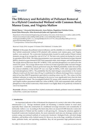 The Efficiency and Reliability of Pollutant Removal in a Hybrid